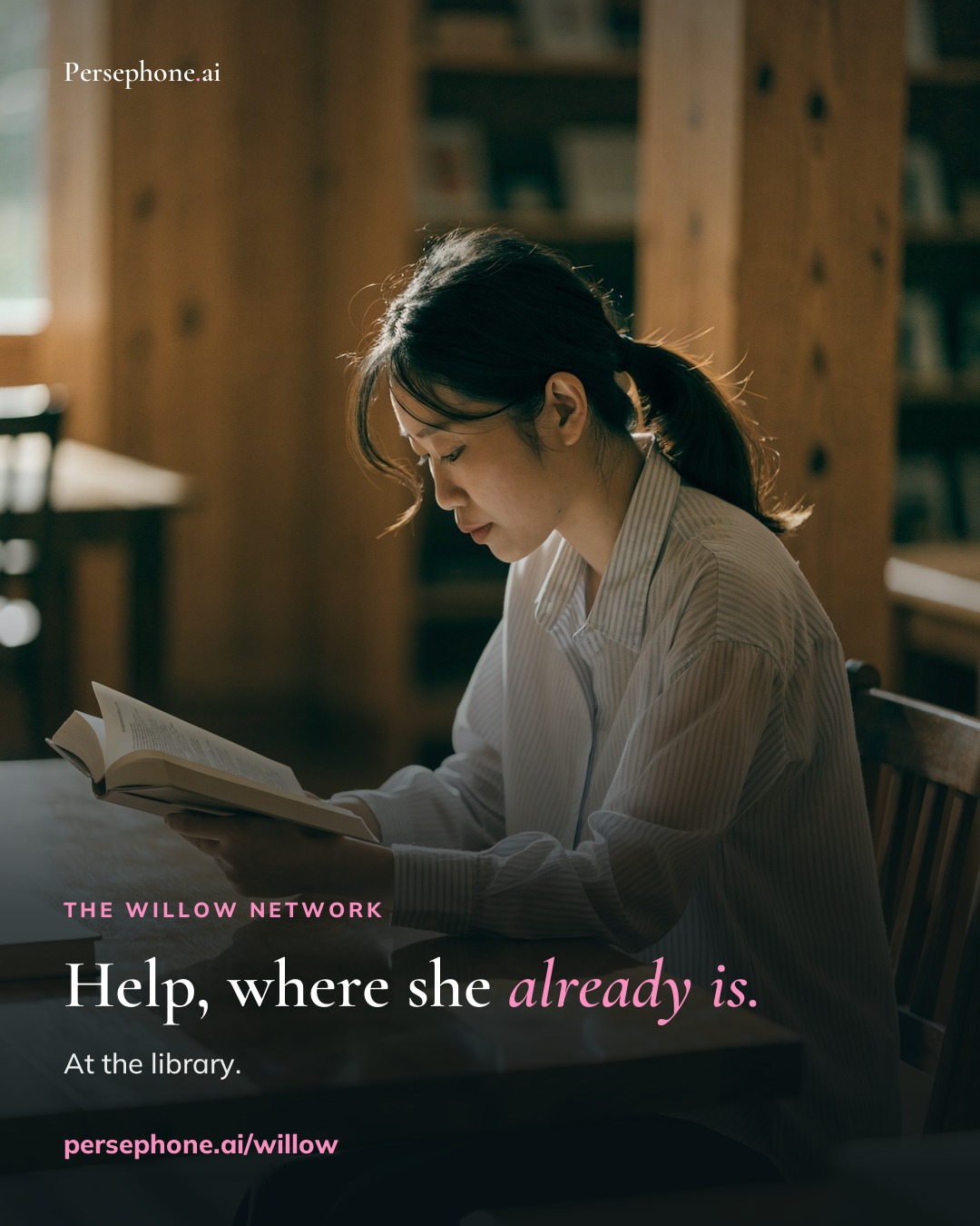 Willow Network — at the library